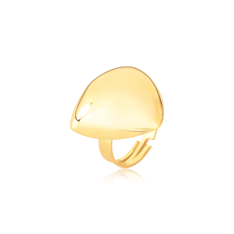 ANEL TRIANGULO MEDIO