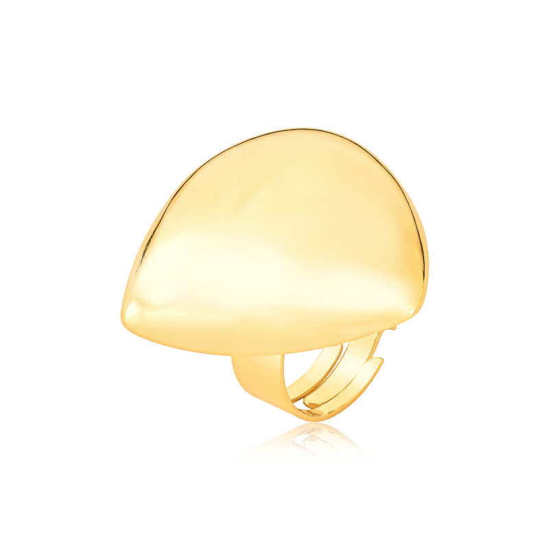 ANEL TRIANGULO MEDIO